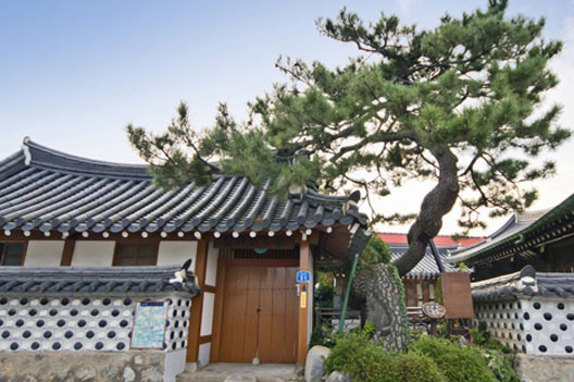 이로당과 소나무