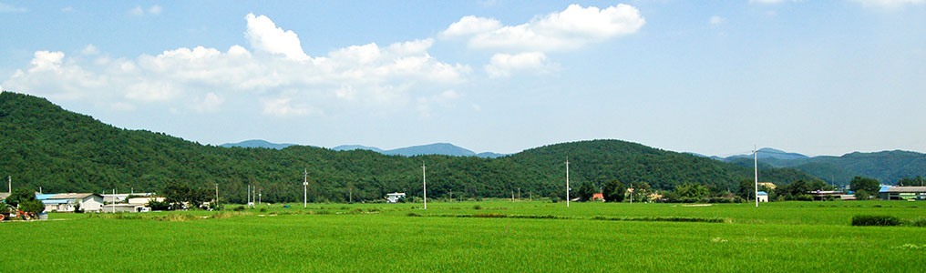 밭 풍경