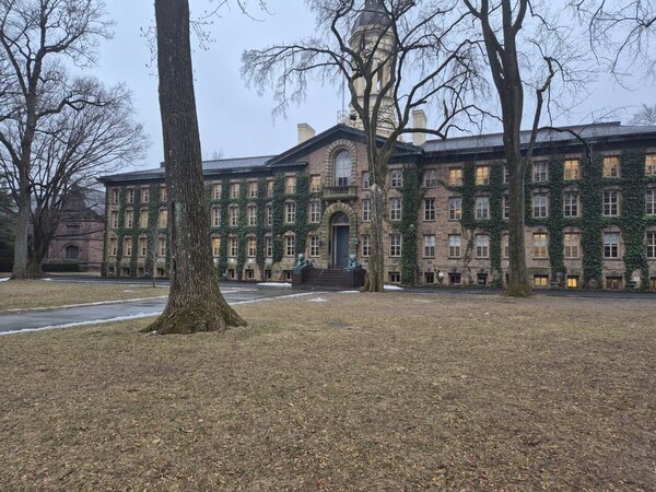 프링스턴 대학교