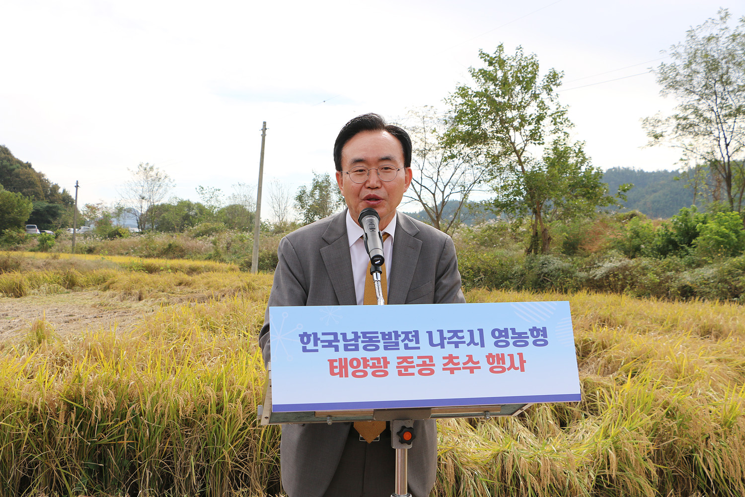 나주시 영농형 태양광 준공 추수행사 나주시장이 논을 배경으로 단상에 서서 축사를 하고 있는 모습 근접촬영