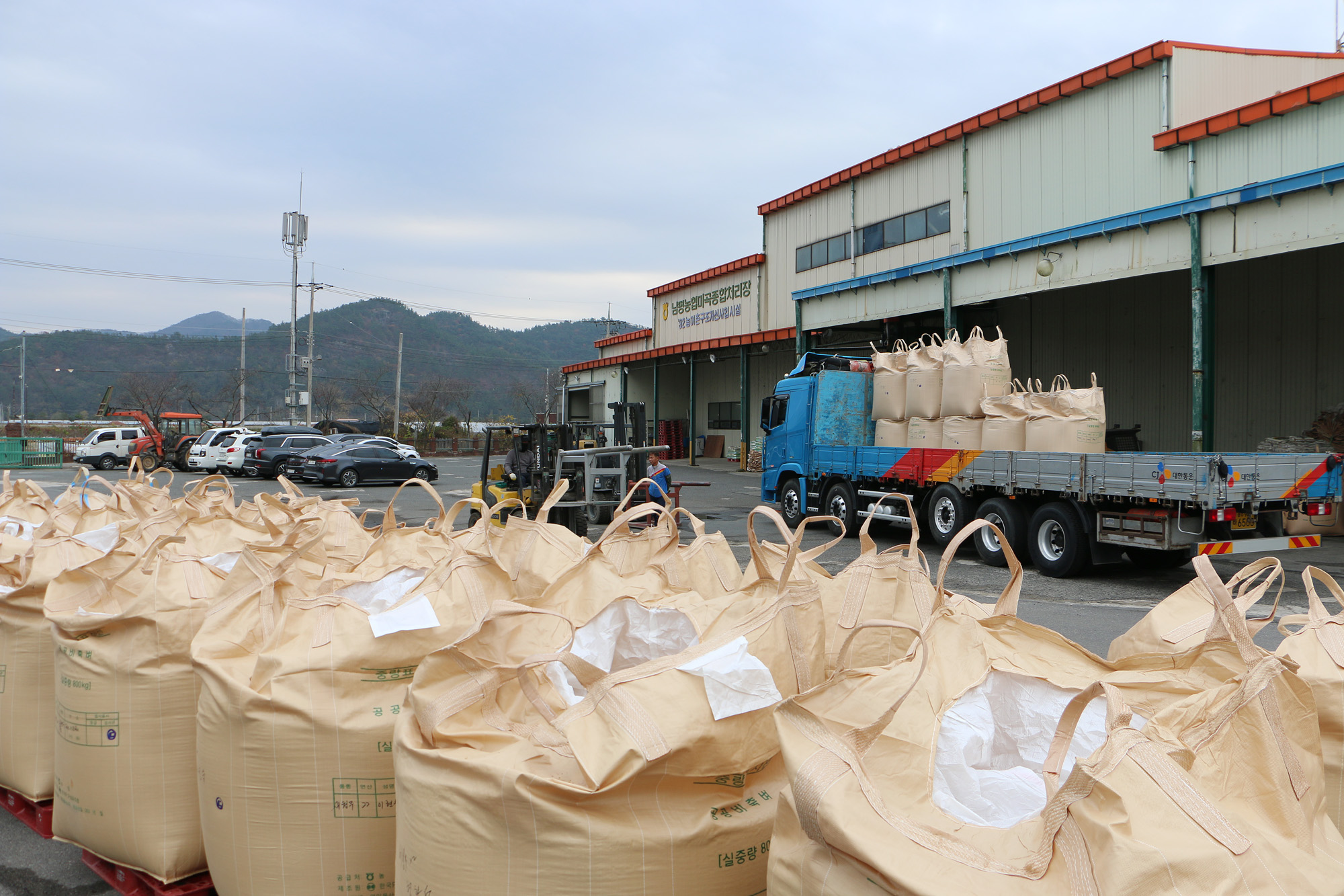 공공비축미 수매현장 방문 (남평읍)