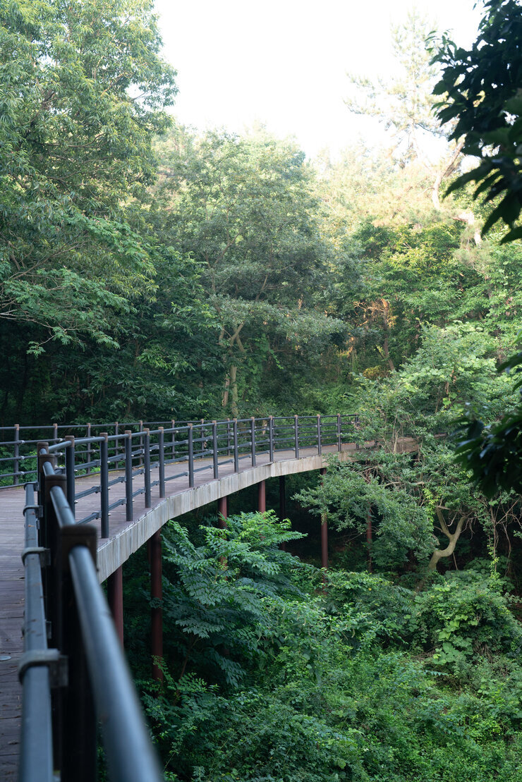 나주 느러지전망대 수국길