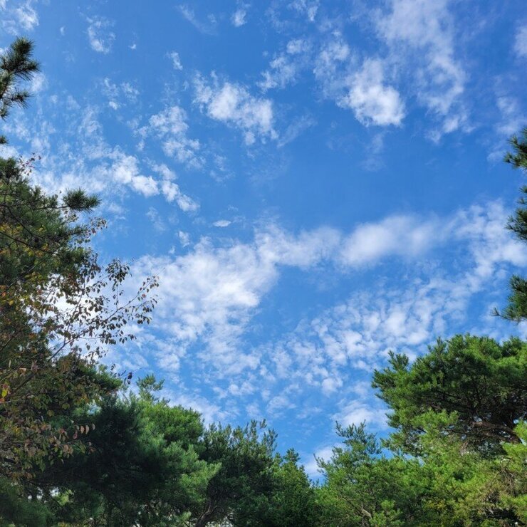 금성산에서 바라본 하늘 사진