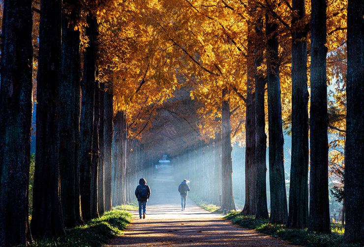 [일반-입선] 가을햇살-김몽주