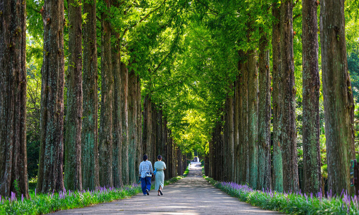 [일반-장려상] 초록사잇길 나들이-정용석