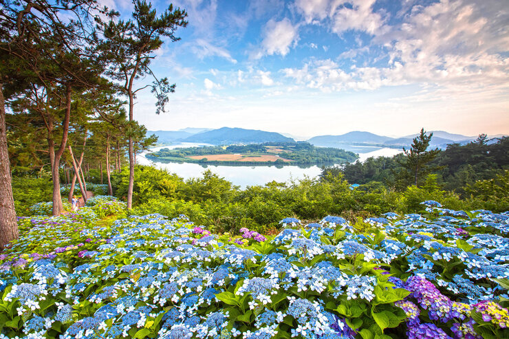 [일반-우수상] 아름다운 느러지-노명희