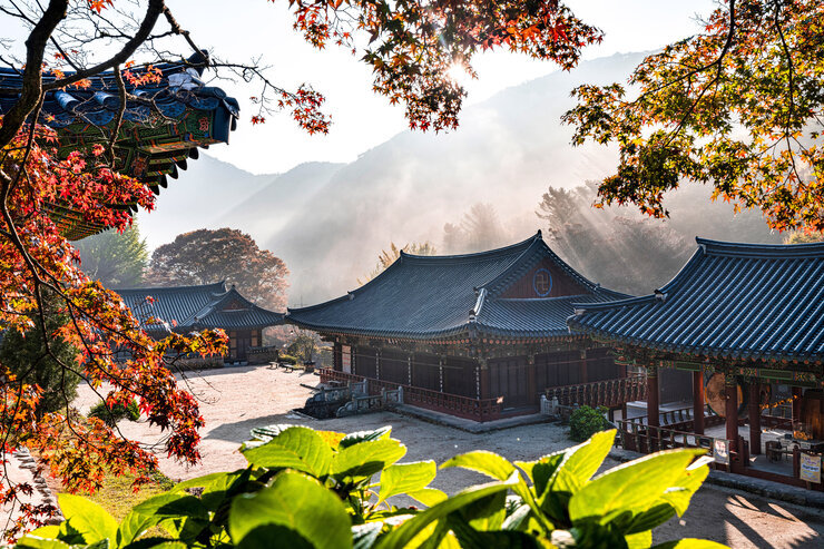 [일반-최우수상] 불회사의 가을아침-김회정