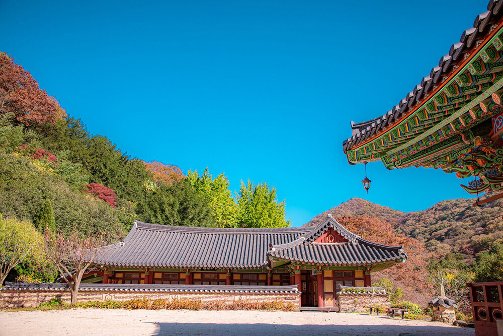 불회사