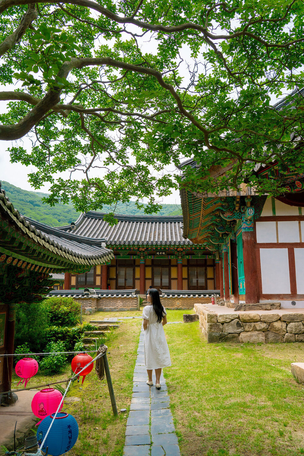 불회사