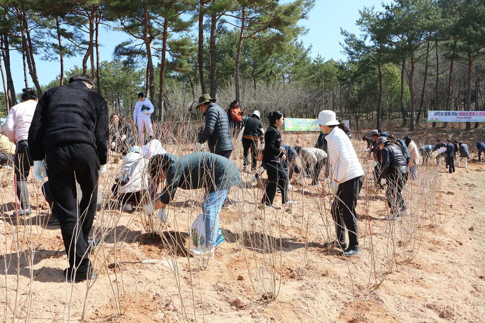 베메산 사계절 꽃동산 조성사업 착공 식재행사 시민들이 식재 구역에서 나무를 심고 있는 모습