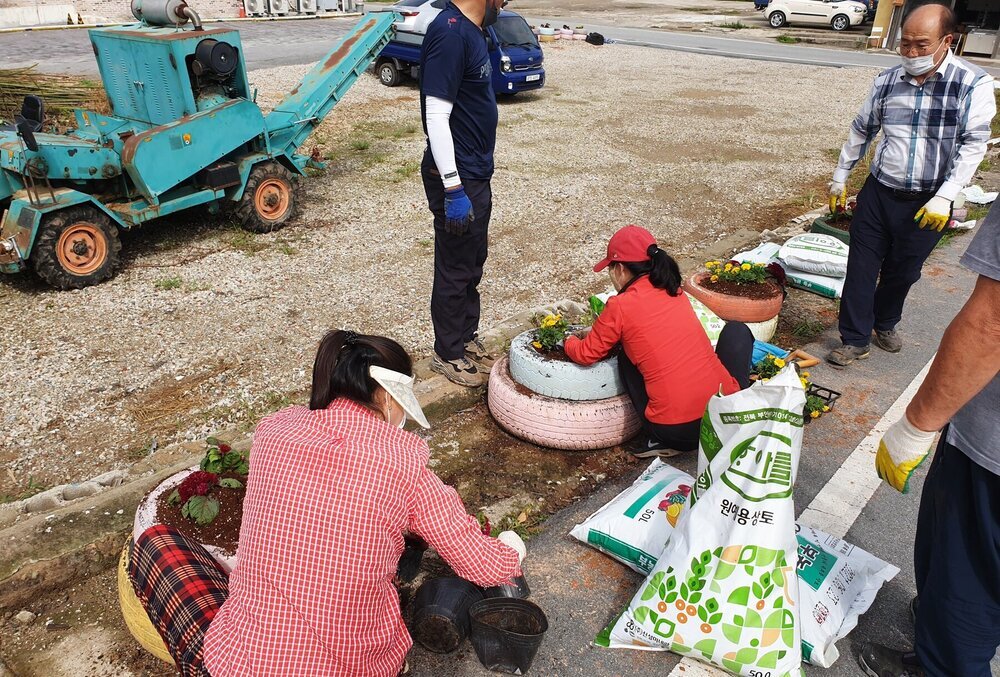 나주 영산동, 청정전남 으뜸마을 만들기 활동으로 타이어로 만든 화단에 꽃심기를 하고 있다