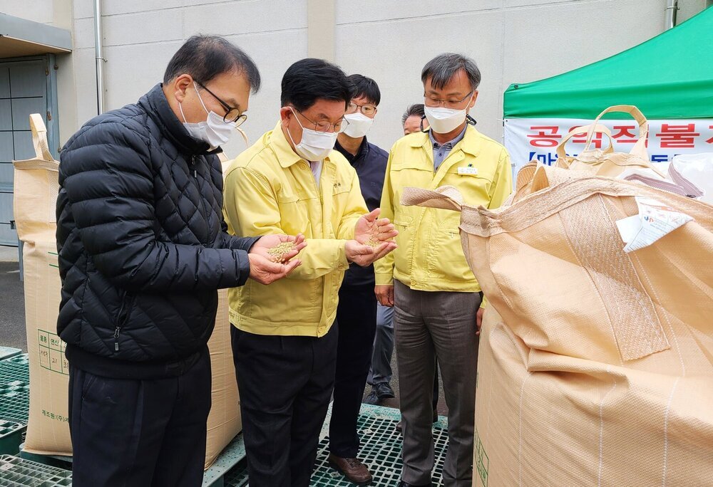 강인규 나주시장, 봉황면 공공비축미곡 수매현장 방문해서 비축미곡을 손에 놓고 살펴보고 있다