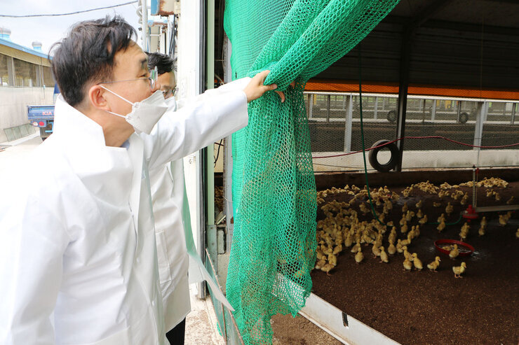 동강면 무더위쉼터, 오리농장 폭염대비 현장방문