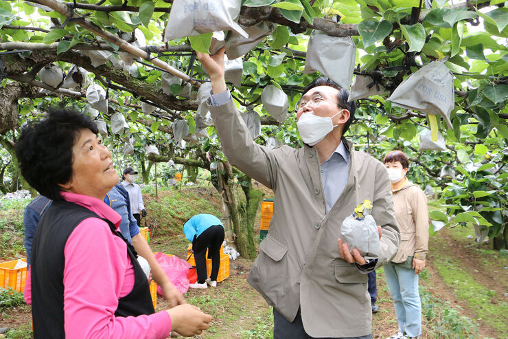 태풍 힌남노 대비 배농가 방문