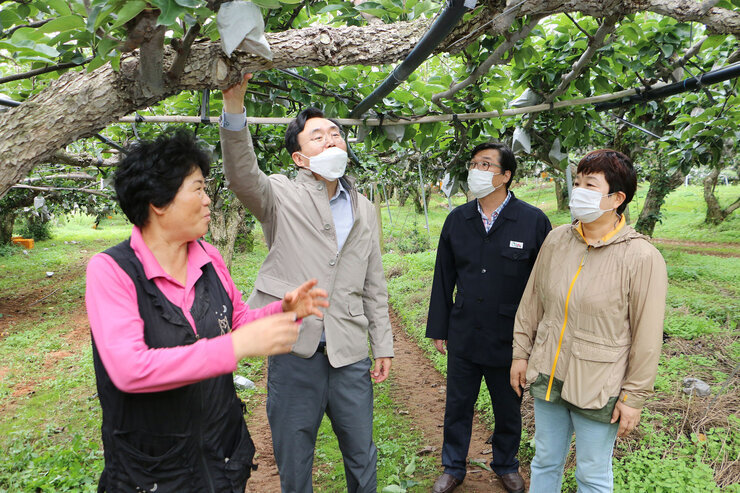 태풍 힌남노 대비 배농가 방문