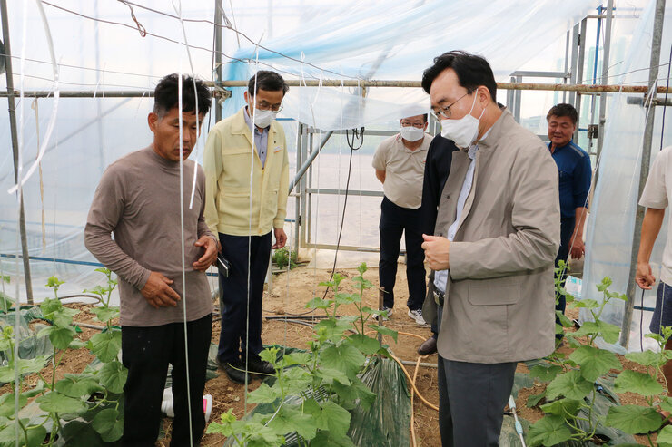 태풍 힌남노 대비 메론농가 방문