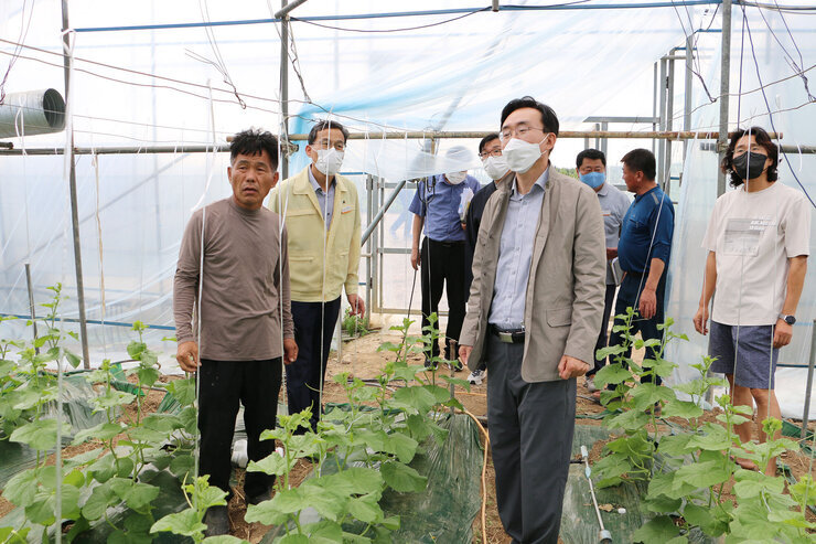 태풍 힌남노 대비 메론농가 방문