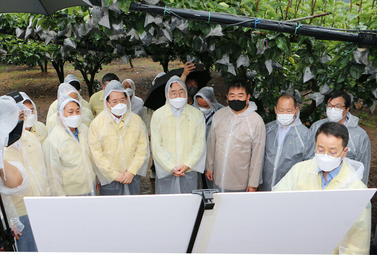 태풍 '힌남노' 북상 대비 전남도지사 배농가 방문