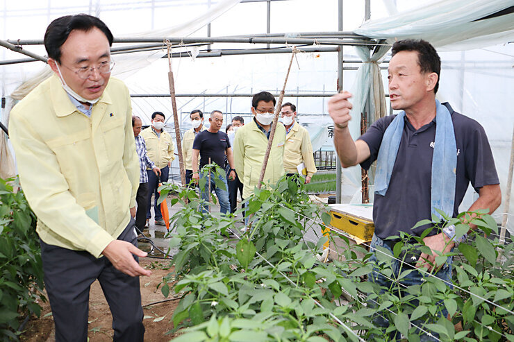 태풍 '힌남노' 북상 대비 시설하우스 방문
