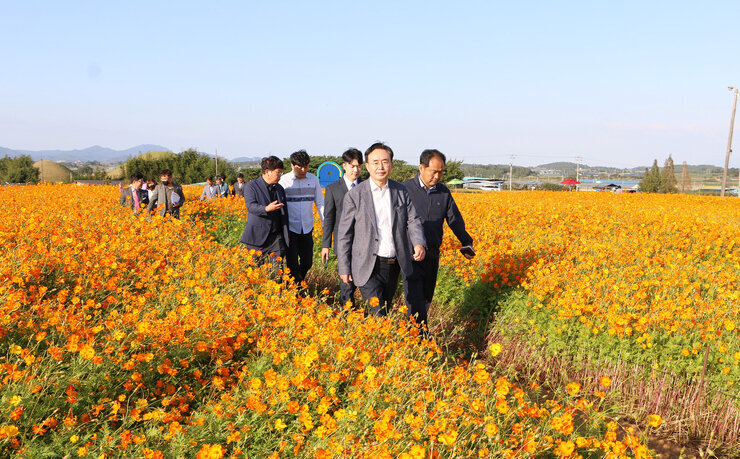 마한문화제 준비사항 현장점검