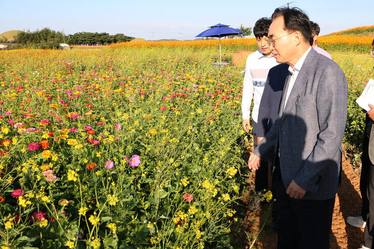 마한문화제 준비사항 현장점검
