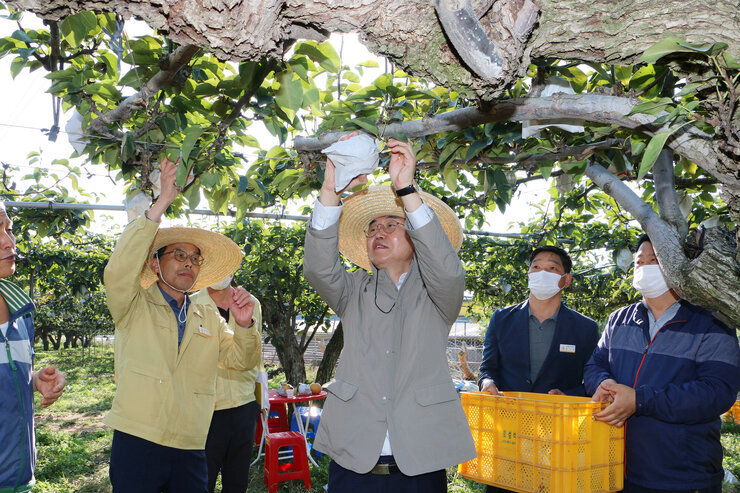 수확철맞이 배농가 현장 방문