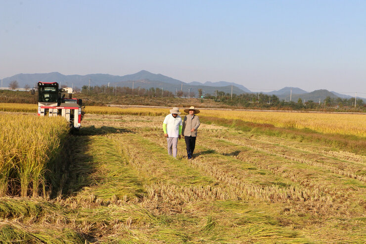 수확철맞이 벼농가 현장 방문