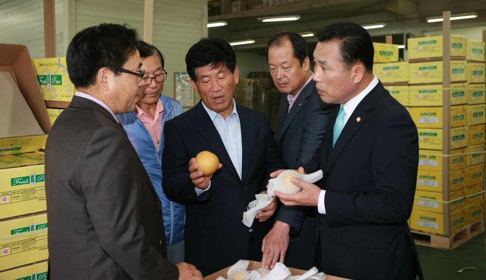 나주배 선적 2.JPG