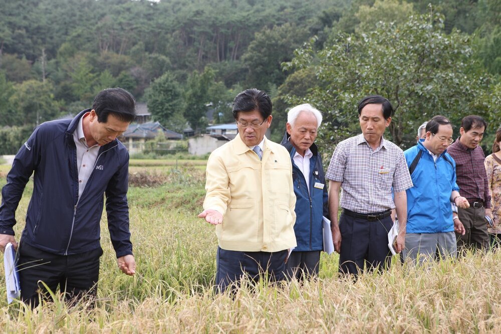 벼 이삭도열병 현장 방문 2.JPG