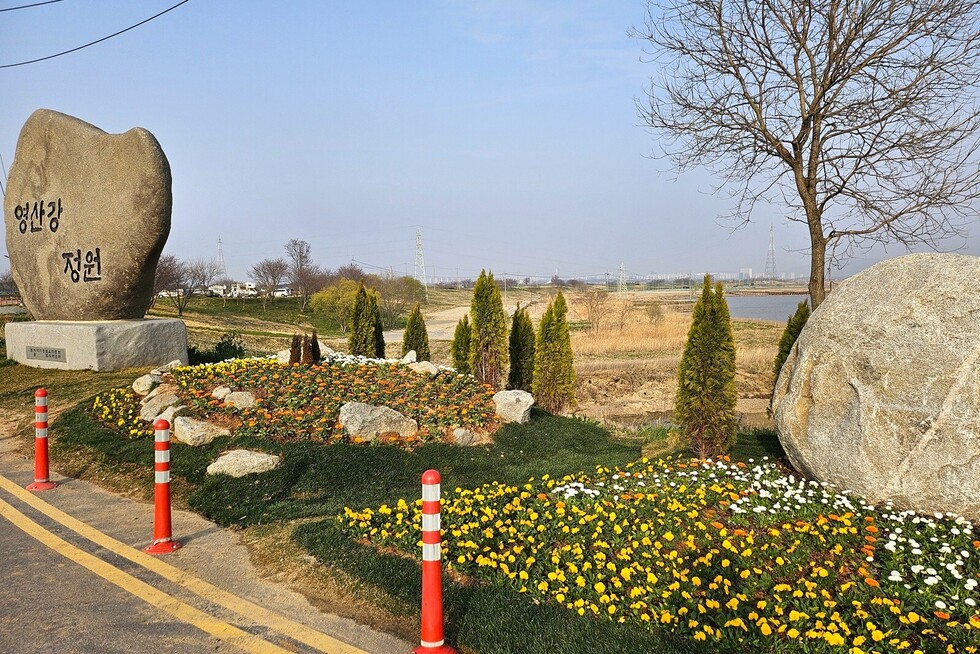 나주시, 영산강정원 봄꽃 단장…도심 속 힐링 명소 새 단장