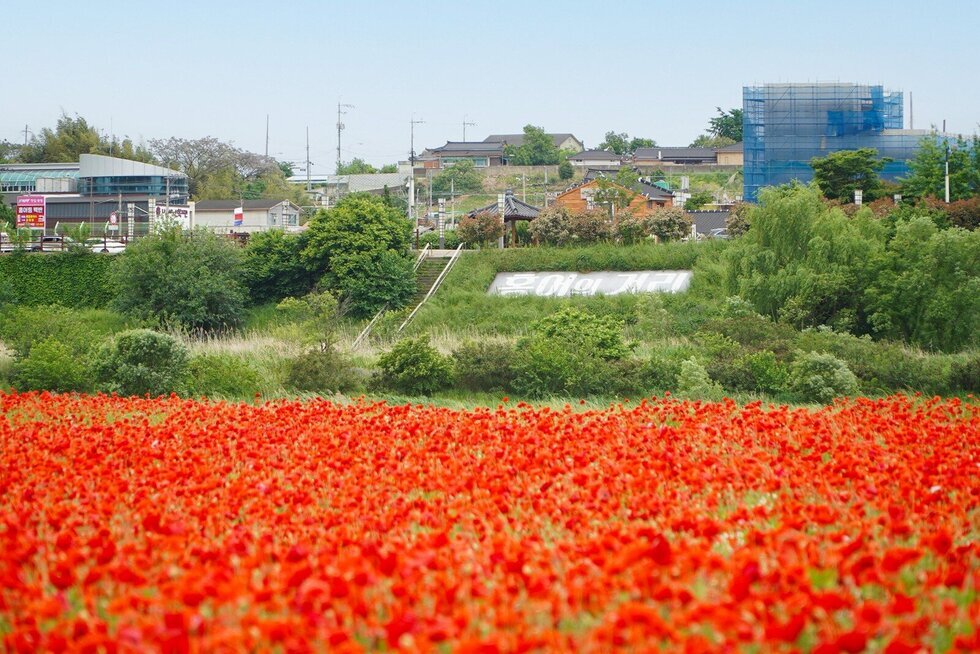 5월 미식 축제 팡파레…제22회 영산포 홍어‧한우축제 열린다