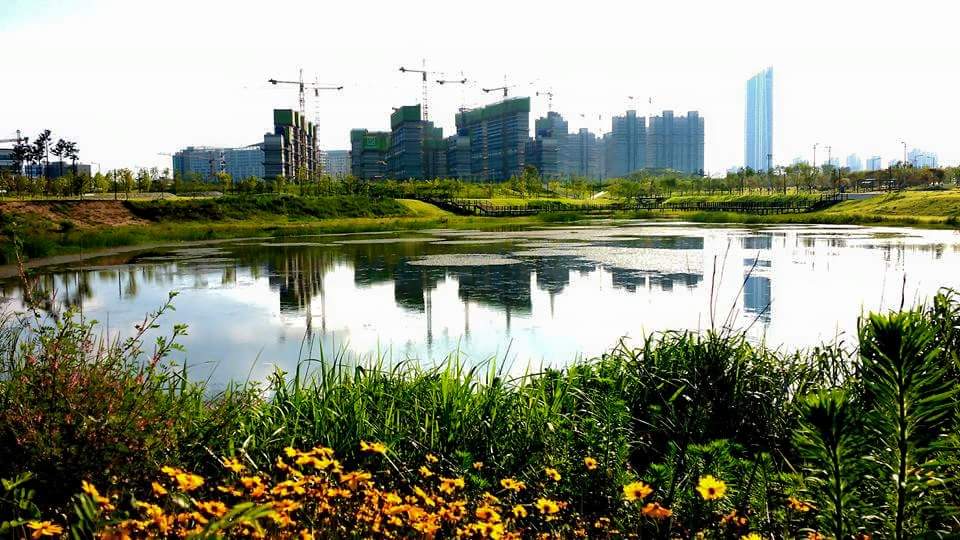 2015년 여름 혁신도시 호수 공원 건너로 공사중인 고층 건물들이 보인다