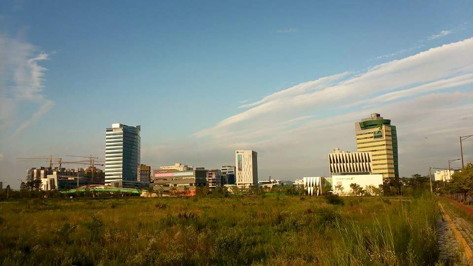 2015년 여름 혁신도시의 전경. 풀 밭과 건너의 건물이 보임