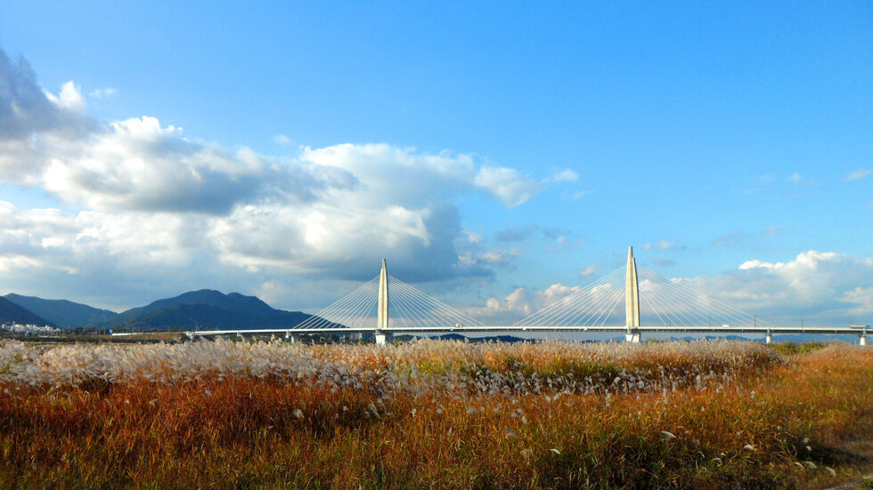 2014년 11월 4일 갈대와 대교가 보이는 파란하늘속의 풍경