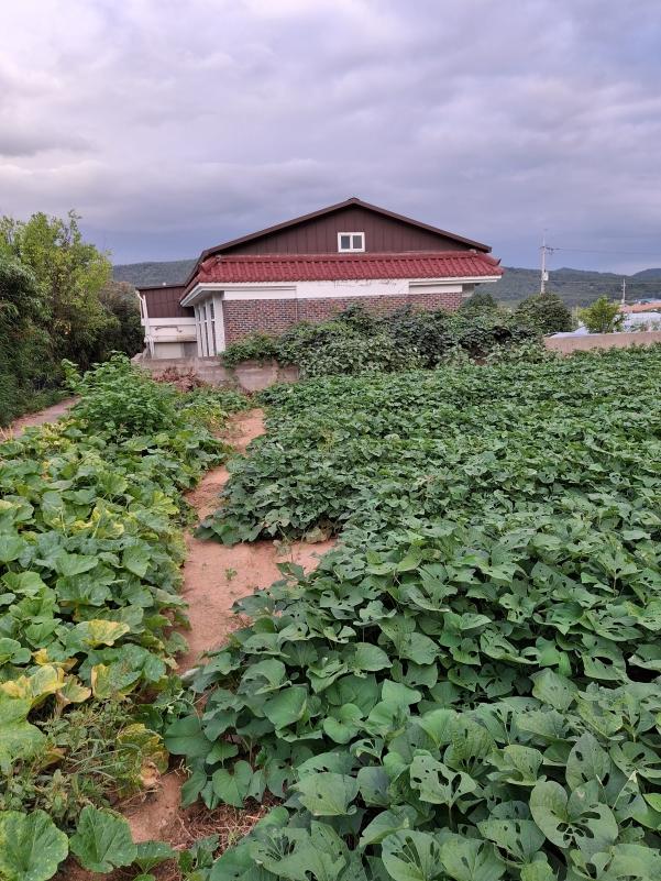 밭과연결되어 있는 주택