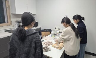 쫀득쿠키만들기