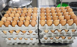 나주시 중앙인력사무소 달걀후원