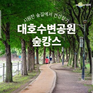 시원한 숲길에서 건강찾기!  대호수변공원 숲캉스 즐겨보세요:)