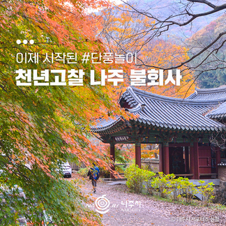 #단풍절정 나주 불회사:)