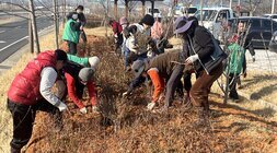 우습제 산책로 나무심기하고 있는 주민 모습1