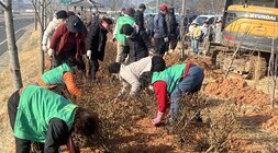 우습제 산책로 나무심기하고 있는 주민 모습2