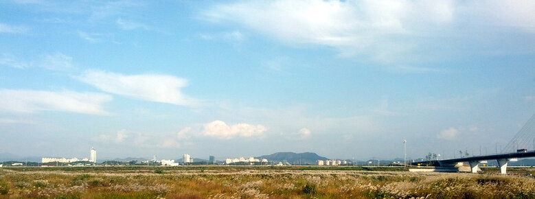 10월 14일 논과 다리를 보여주는 사진