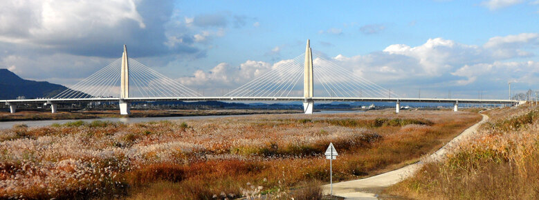 억새가 멋지게 흐드러진 11월 4일에 찍은 풍경. 건너에 대교와 강이 보인다.