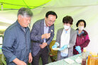 대한민국 마한문화제 개막식
