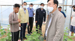 태풍 힌남노 대비 메론농가 방문