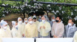 태풍 '힌남노' 북상 대비 전남도지사 배농가 방문