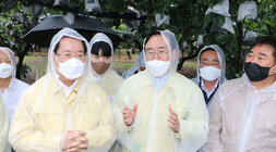 태풍 '힌남노' 북상 대비 전남도지사 배농가 방문