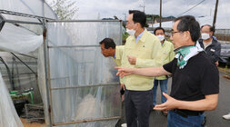 태풍 '힌남노' 북상 대비 시설하우스 방문
