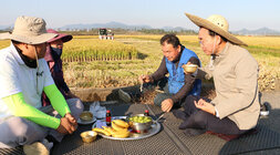 수확철맞이 벼농가 현장 방문