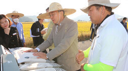 수확철맞이 벼농가 현장 방문